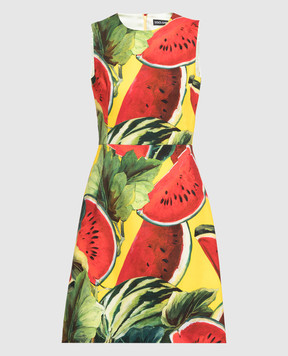 Dolce&Gabbana Dress in a print F6UL7TFSFD5