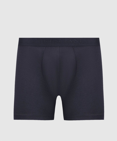Bresciani