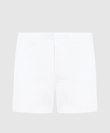 Bresciani