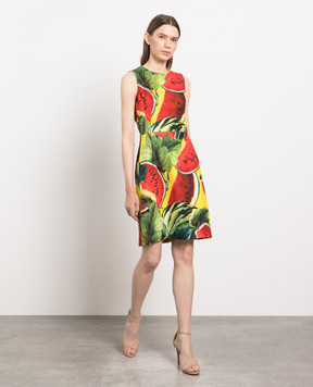Dolce&Gabbana Dress in a print F6UL7TFSFD5