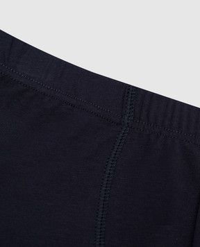 Story Loris Children's blue boxer briefs 1740846