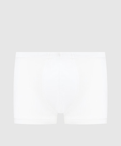 Bresciani
