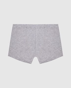 Story Loris Children's gray boxer briefs 1740846