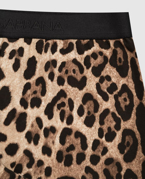 Dolce&Gabbana Children's brown leggings in leopard print L5JP3JG7H7W